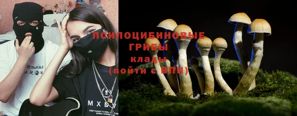 амф Алзамай