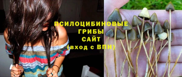 амф Алзамай