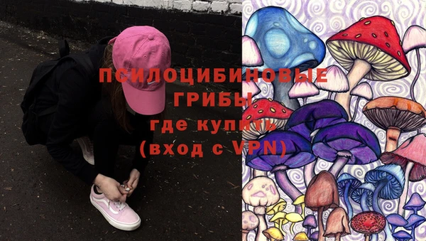 первитин Алексин