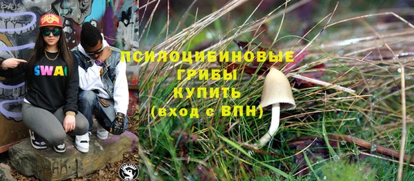 амф Алзамай