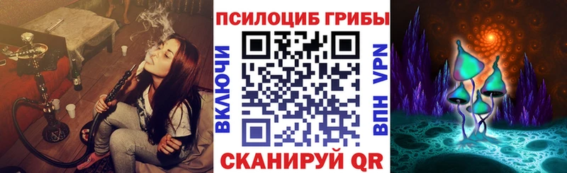 магазин    Хвалынск  Псилоцибиновые грибы Magic Shrooms 
